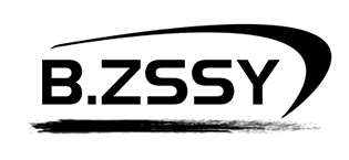 b.zssy story