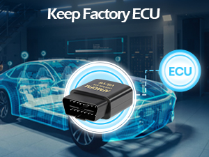 Keep Factory ECU