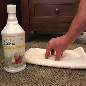 cat rug cleaner cat 32 cat urine odor stain remover dog urine spot spot stain remover carpet